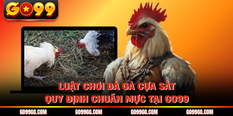 Luật Chơi Đá Gà Cựa Sắt - Quy Định Chuẩn Mực Tại GO99