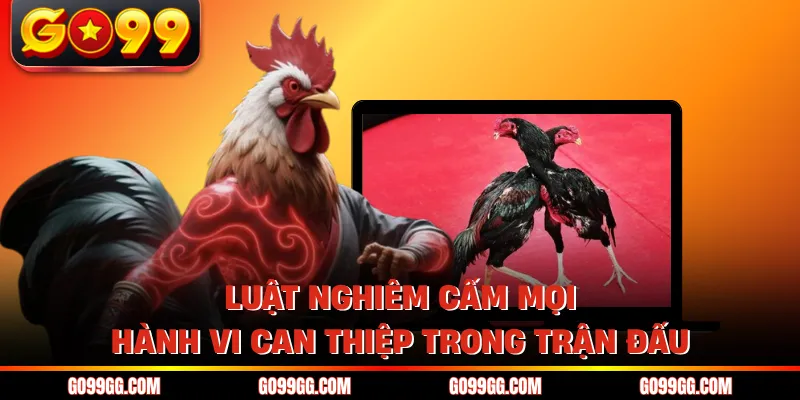Luật nghiêm cấm mọi hành vi can thiệp trong trận đấu