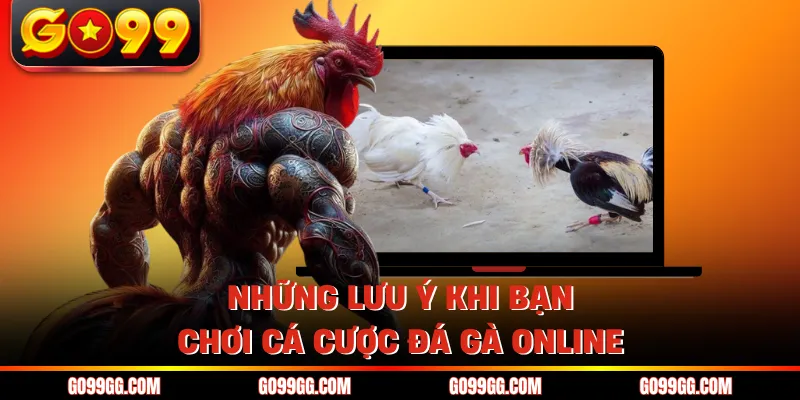 Những lưu ý khi bạn chơi cá cược đá gà online