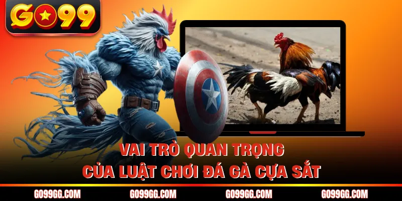 Vai trò quan trọng của luật chơi đá gà cựa sắt